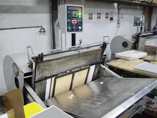 Die-Cutting & Creasing Machine